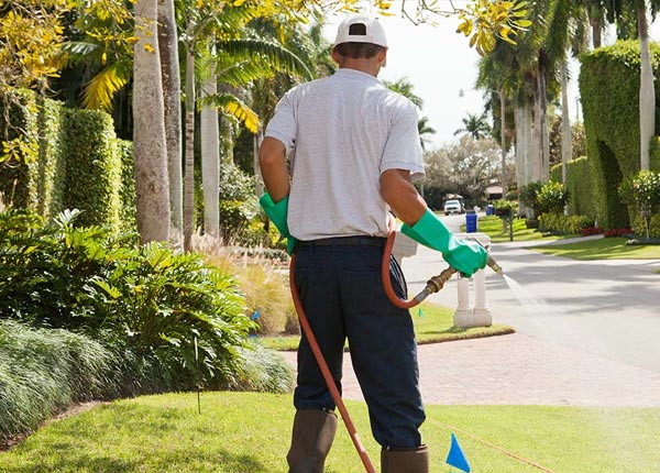 About Willcox AZ Pest Control